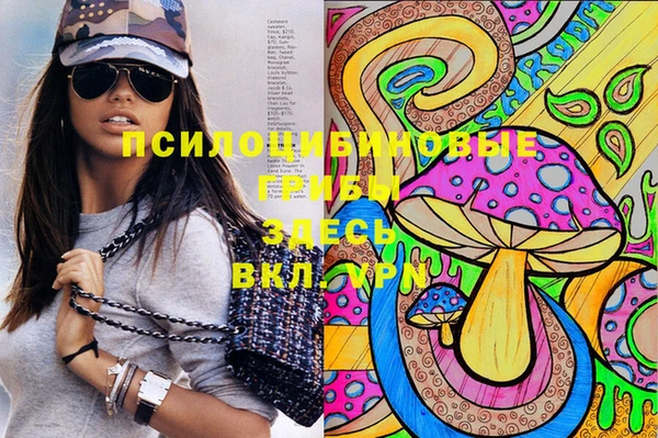 первитин Алексеевка
